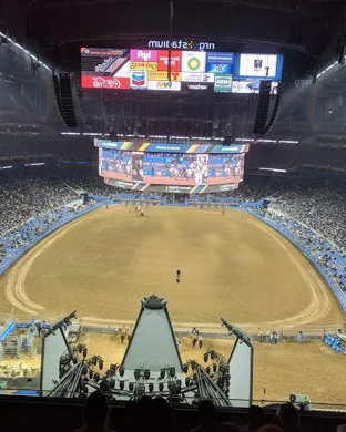 Ultimate Bullfighters