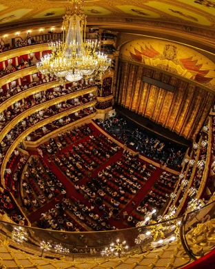 Dallas Opera: The Cunning Little Vixen